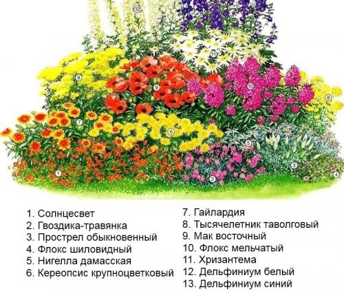 Цветник своими руками для начинающих схемы. Готовые схемы красивых клумб разной формы из многолетних цветов в Подмосковье для начинающих