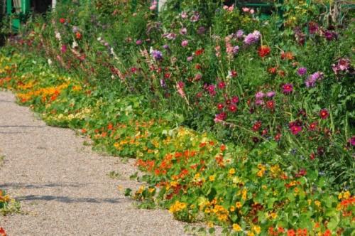 Оформление клумбы с розами. Где на участке разместить клумбу с розами 08