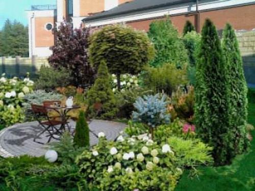 Оформление клумбы с розами. Где на участке разместить клумбу с розами 03