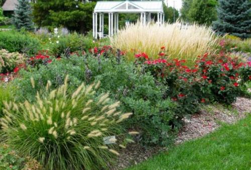 Клумбы из роз варианты размещения. Возможные сочетания 03 Клумбы из роз варианты размещения. Возможные сочетания 03