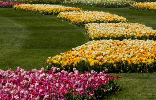 Прямоугольная клумба оформление. Особенности оформления прямоугольной клумбы на даче