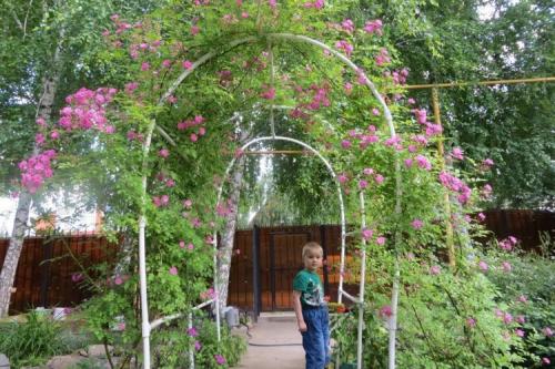 Цветочная арка своими руками. Как сделать арку из пластиковых труб в саду