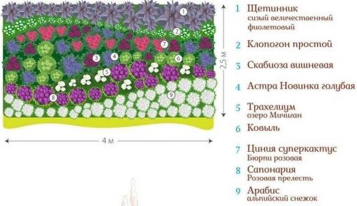 10 красивых клумб из многолетников. Готовые схемы красивых клумб разной формы из многолетних цветов в Подмосковье для начинающих