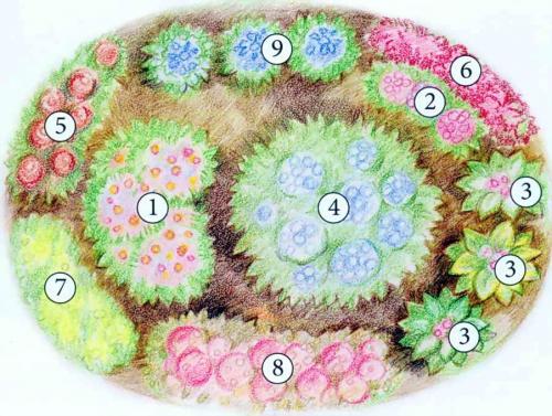 10 красивых клумб из многолетников. Готовые схемы красивых клумб разной формы из многолетних цветов в Подмосковье для начинающих