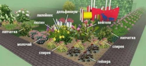 Клумбы непрерывного цветения – схемы с описанием цветов