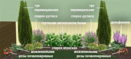 Клумбы непрерывного цветения – схемы с описанием цветов