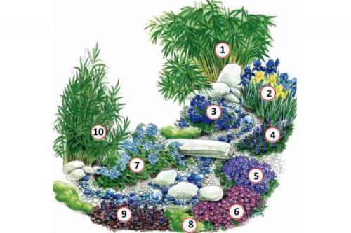 Клумба непрерывного цветения схемы клумб для начинающих. Схемы клумб непрерывного цветения для сада