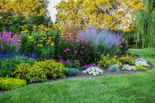 Клумба непрерывного цветения схемы клумб для начинающих. Схемы клумб непрерывного цветения для сада