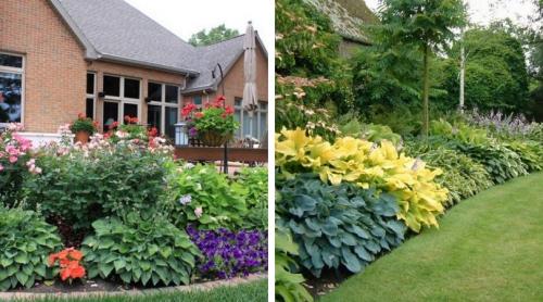 Клумбы с хостами схемы. Роскошные клумбы и бордюры с хостой: 60 идей для украшения дачи