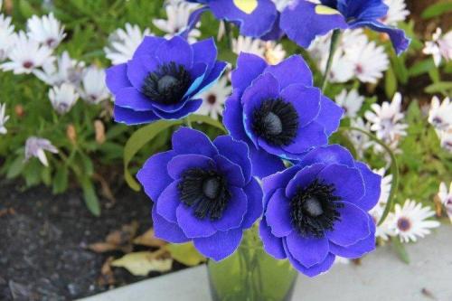 Дизайн клумбы с названием цветов. Многолетние цветы для клумбы