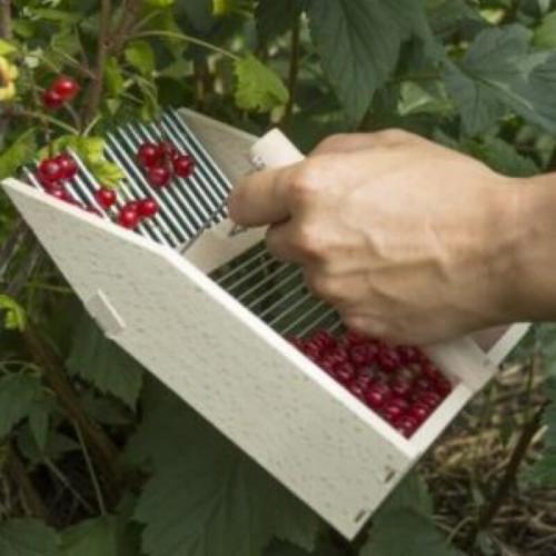 Полезные советы и приспособления для дачи. Дачные хитрости: 20 приспособлений, которые реально облегчат жизнь дачника