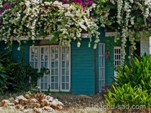 100 лучших идей для сада. Красивые Дачи — 100 фото идей и хитростей для вашего дома и сада