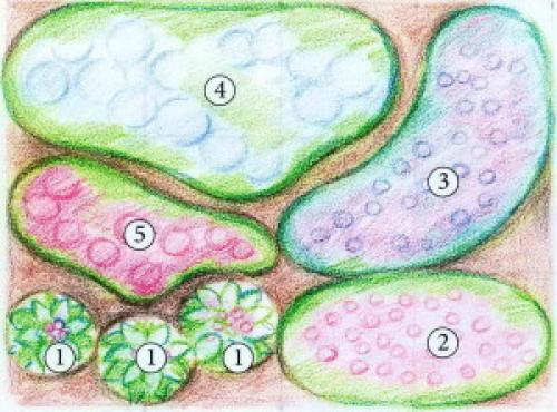 Клумба из многолетников в полутени. Цветущий цветник для полутени