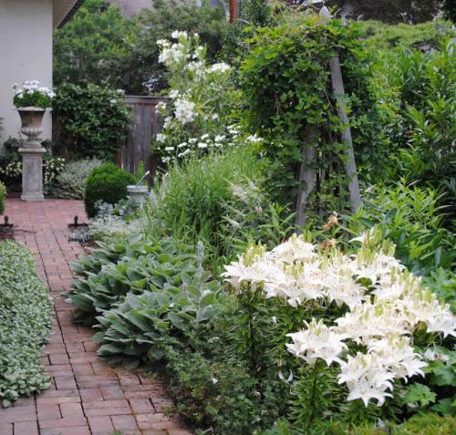 Цветник из многолетников по шагам. Подходящие растения 01