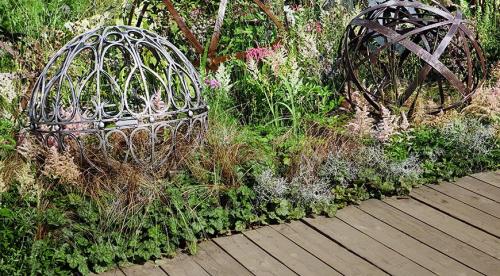 Низкорослые растения для живой изгороди и бордюра. Назначение цветов для бордюров 19 Низкорослые растения для живой изгороди и бордюра. Назначение цветов для бордюров 19