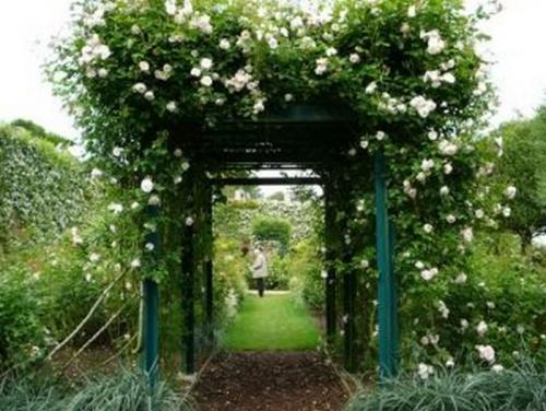 Опоры под розы своими руками. Опоры для плетистой розы своими руками: 20 примеров с фото