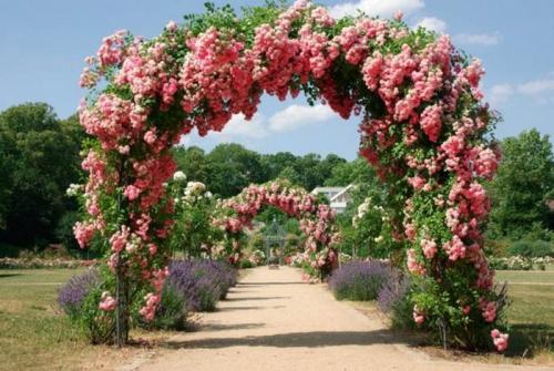 Опоры под розы своими руками. Опоры для плетистой розы своими руками: 20 примеров с фото