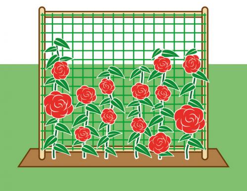 Опоры под розы своими руками. Опоры для плетистой розы своими руками: 20 примеров с фото