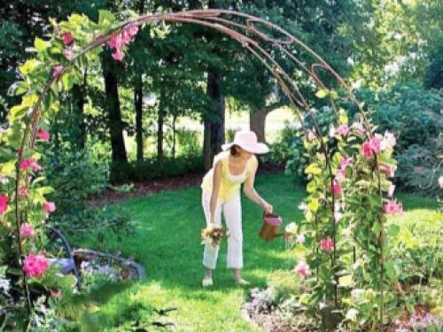 Начинаем устанавливать опоры для роз из подручных материалов. Как выбрать материал? 05 Начинаем устанавливать опоры для роз из подручных материалов. Как выбрать материал? 05