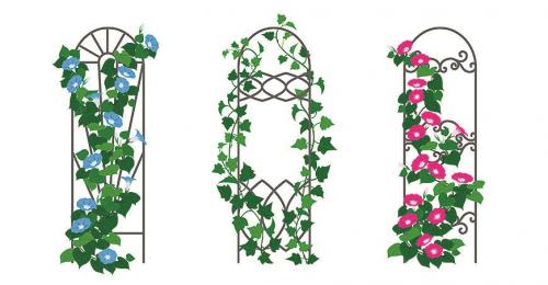 Начинаем устанавливать опоры для роз из подручных материалов. Как выбрать материал? 09 Начинаем устанавливать опоры для роз из подручных материалов. Как выбрать материал? 09