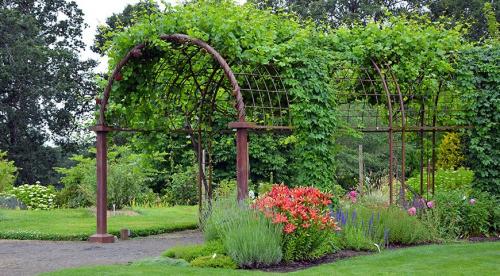 Начинаем устанавливать опоры для роз из подручных материалов. Как выбрать материал? 13 Начинаем устанавливать опоры для роз из подручных материалов. Как выбрать материал? 13