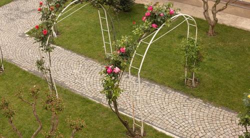 Начинаем устанавливать опоры для роз из подручных материалов. Как выбрать материал? 10 Начинаем устанавливать опоры для роз из подручных материалов. Как выбрать материал? 10