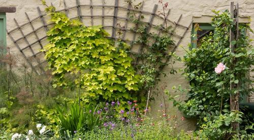 Начинаем устанавливать опоры для роз из подручных материалов. Как выбрать материал? 15 Начинаем устанавливать опоры для роз из подручных материалов. Как выбрать материал? 15