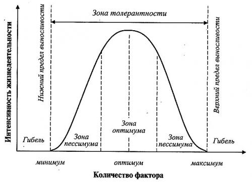 Экологические группы растений по отношению к свету таблица. Экология особей