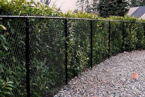 Чем закрыть забор из сетки-рабицы. Чем можно закрыть забор из сетки-рабицы от соседей: непрозрачный низ