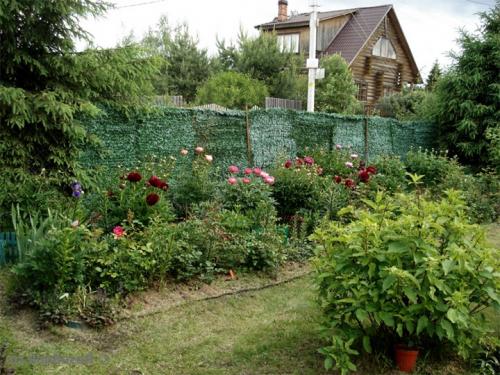 Чем задекорировать сетку рабицу. Как украсить забор из сетки-рабицы – оригинальные идеи декора