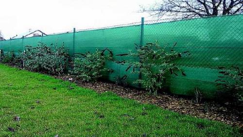 Чем закрыть забор из сетки-рабицы. Чем можно закрыть забор из сетки-рабицы от соседей: непрозрачный низ
