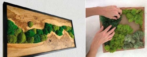 Растения для вертикального озеленения в квартире. Как подбирать растения