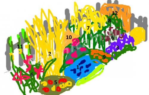 Как оформить прямоугольную клумбу. Схемы посадки 01 Как оформить прямоугольную клумбу. Схемы посадки 01