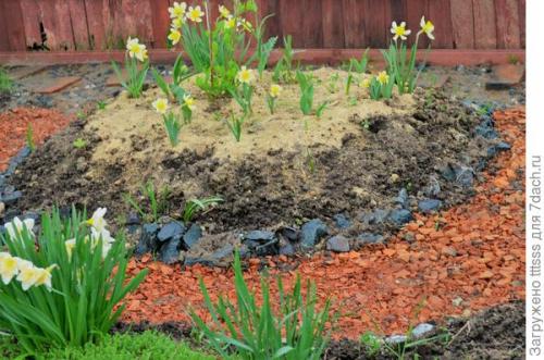 Круглая клумба в саду. Цветники в ландшафтном дизайне сада. Создание круглой клумбы