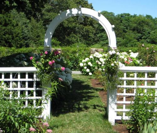 Цветочные арки в саду. Садовая арка – функции в ландшафтном дизайне