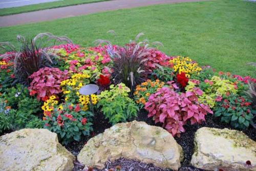 План клумбы прямоугольной формы. Принципы формирования цветника