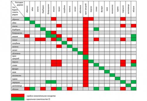 Совместимость плодовых деревьев таблица. Причины несовместимости