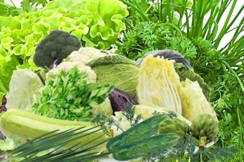 Огород в тени или полутении. Что посадить в тени деревьев? 11 Огород в тени или полутении. Что посадить в тени деревьев? 11