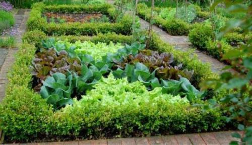 Огород на 3 сотках. Секреты размещения огорода на небольшом участке