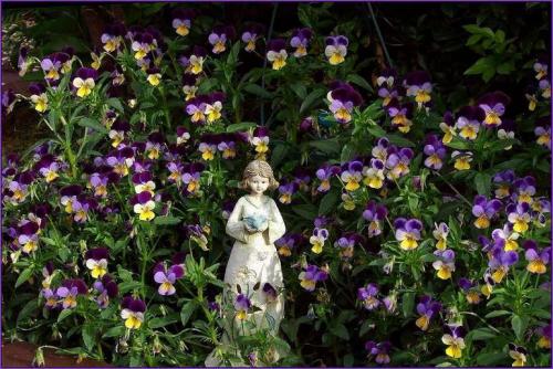 Тенелюбивые растения леса. Список тенелюбивых цветов и растений (21 фото), особенности ухода. Примеры посадки