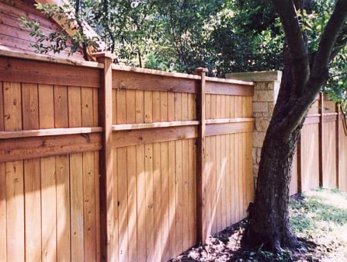 Нормы посадки фруктовых деревьев. Нормы посадки деревьев по отношению к забору соседнего участка