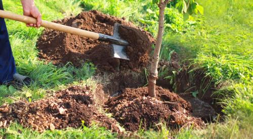 Все о посадке деревьев. Подготовка посадочной ямы 01 Все о посадке деревьев. Подготовка посадочной ямы 01