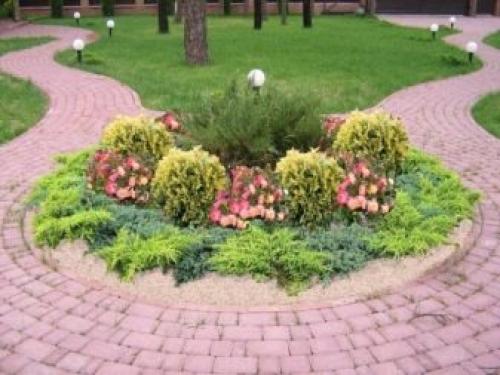 10 примеров для создания хвойных композиций на даче.  Декоративные ели в рокарии 10 примеров для создания хвойных композиций на даче.  Декоративные ели в рокарии