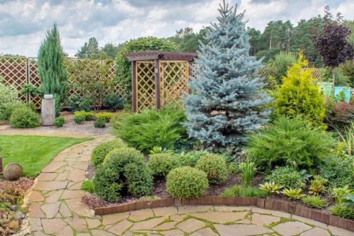 Низкорослые хвойные для бордюра. Миксбордер из хвойных растений
