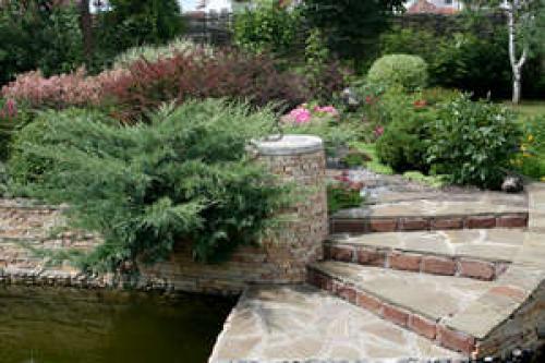 ТОП-10 лучших хвойных растений для маленького.. Плюсы и минусы невысоких хвойников 22