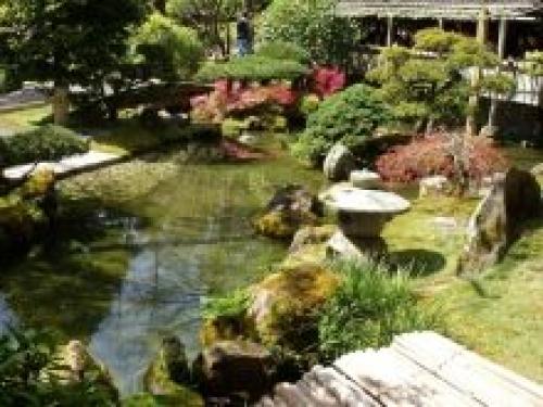 Хвойные растения для ландшафтного дизайна. Красивые групповые композиции с хвойными растениями в саду 12