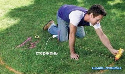 Арка для вьющейся розы своими руками. Арка для плетистой розы своими руками