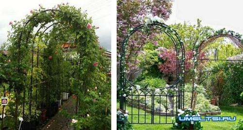 Арка для вьющейся розы своими руками. Арка для плетистой розы своими руками