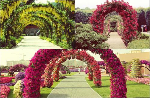 Арка из цветов. Конструкции арок