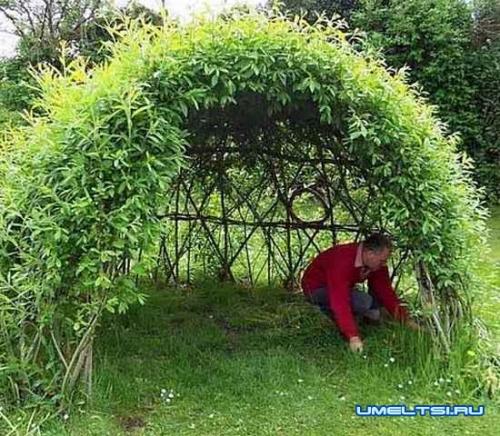 Арка из ивы своими руками. Живая беседка из ивы: примеры оригинальных идей